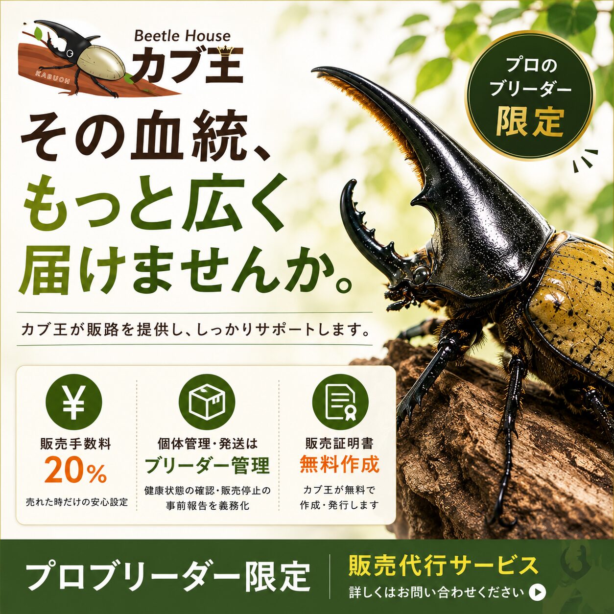 カブ王!オークション