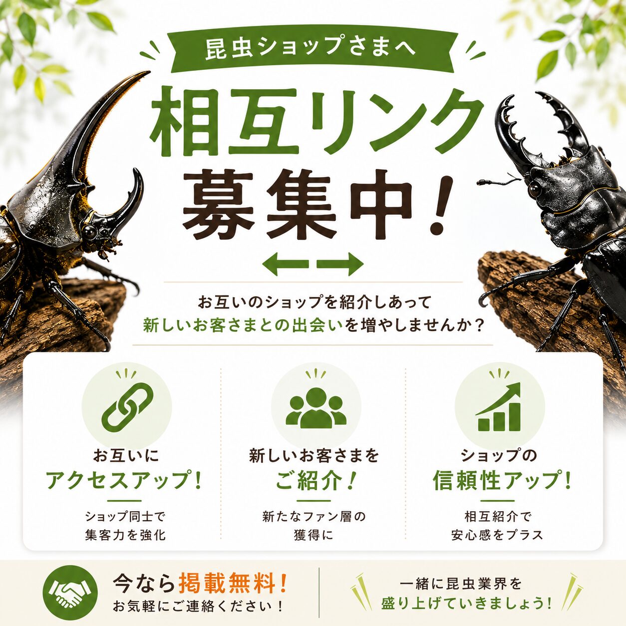 カブ王!オークション
