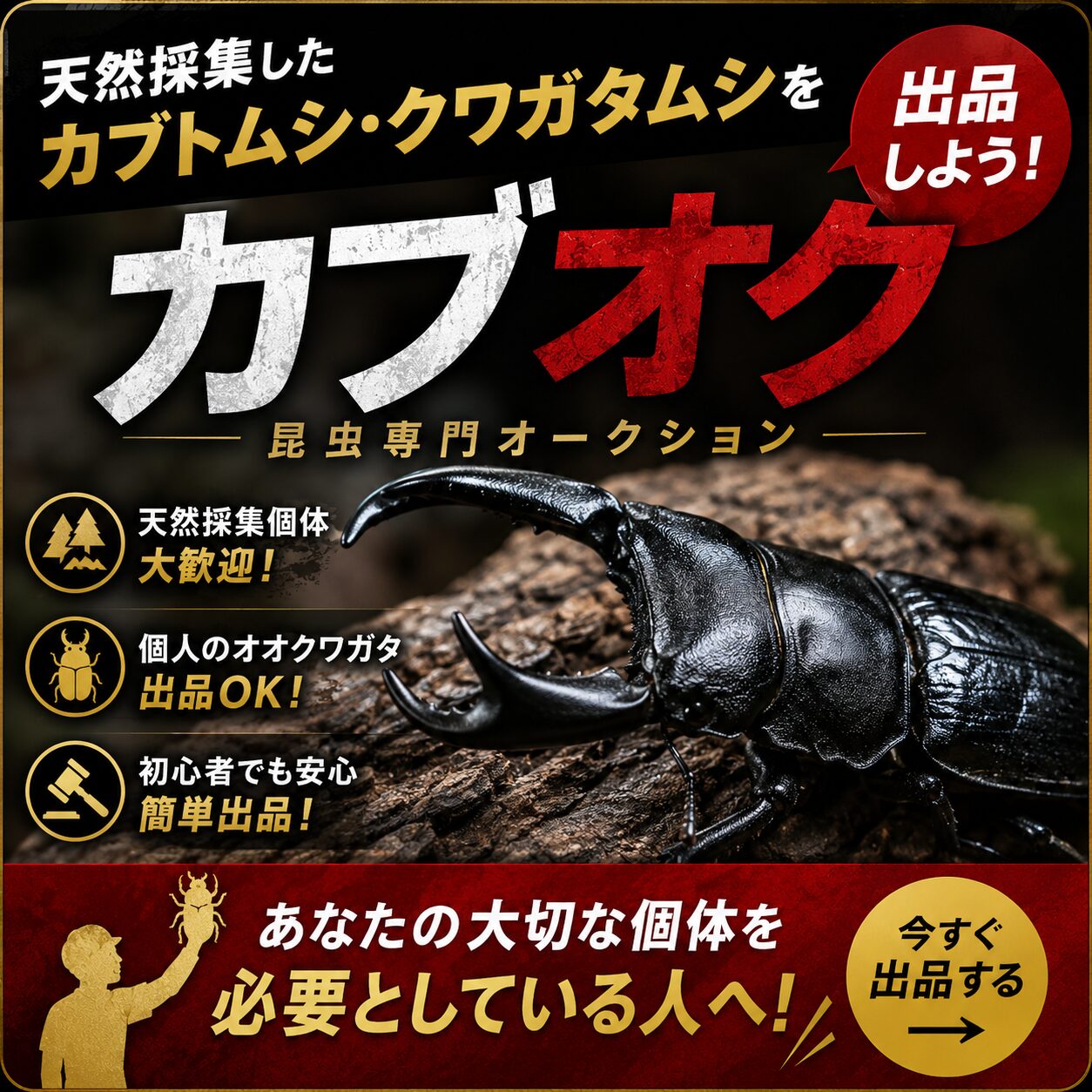 カブ王!オークション｜昆虫専門オークション